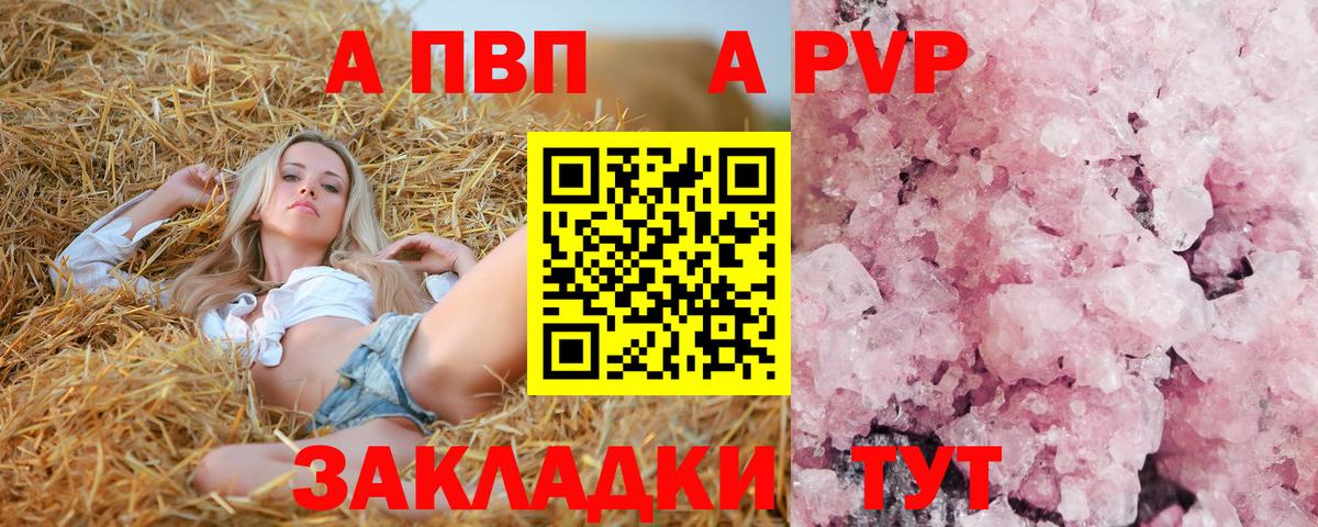 Альфа ПВП СК Ставрополь