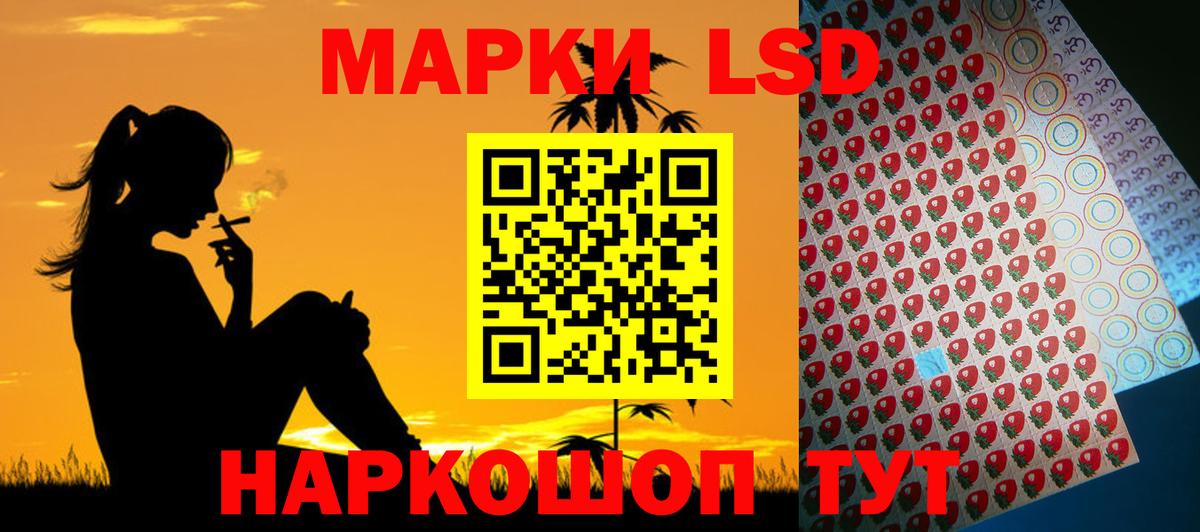 Ставрополь  LSD-25 экстази ecstasy  MEGA рабочий сайт  LSD-25 экстази ecstasy  Вход с VPN 