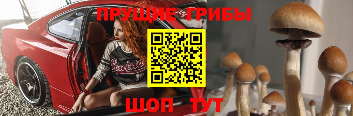 Галлюциногенные грибы GOLDEN TEACHER  Вход с VPN  Ставрополь  Галлюциногенные грибы Magic Shrooms 